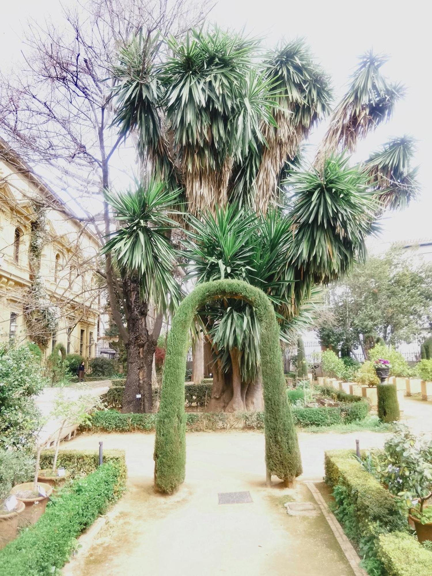 Precioso Estudio En El Corazon De Appartamento Granada